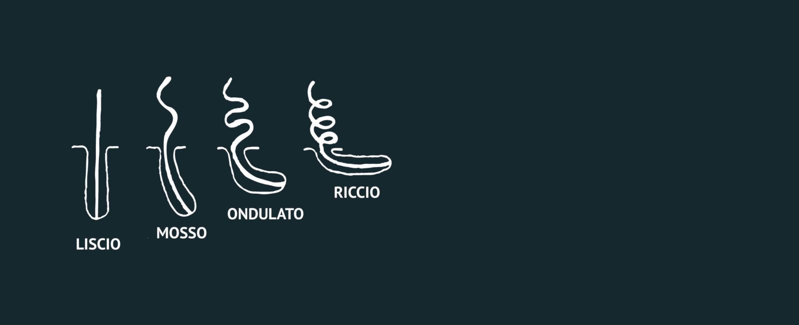 Quale tipologia di capelli ricci hai